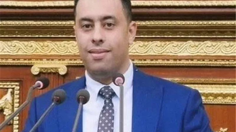 مطالب برلمانية بمحاسبة هيئة التأمينات تزامنًا مع إقرار تعديلات قانون المعاشات