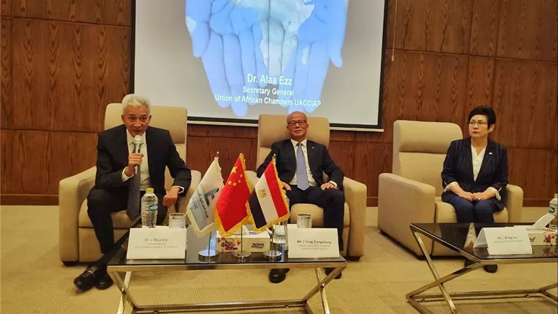 علاء عز: مصر مركز إقليمي لجذب الاستثمارات الصينية وتوسيع الشراكات الاقتصادية