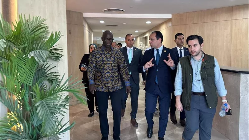 «البنك الدولي» يشيد بالمستشفى الافتراضي بالإسماعيلية: نموذج تحولي يضع مصر في طليعة الطب الرقمي