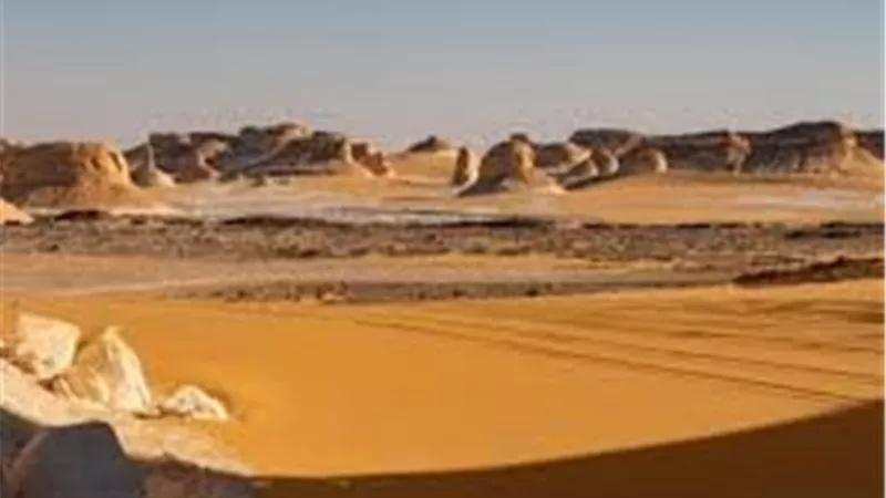البترول تكشف خريطة جديدة لاكتشافات النفط والغاز بالصحراء الغربية لتعزيز الإنتاج وأمن الطاقة
