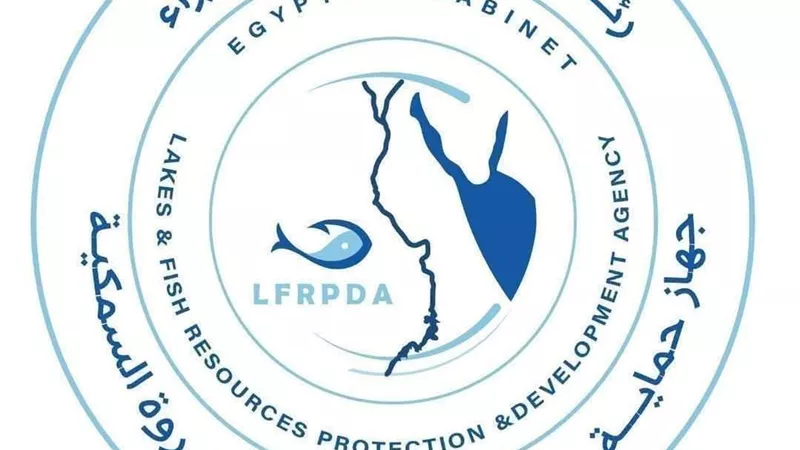 جهاز حماية البحيرات ينفي شائعات إصابة الأسماك المصرية بأمراض خطيرة ويؤكد سلامة المنتج السمكي