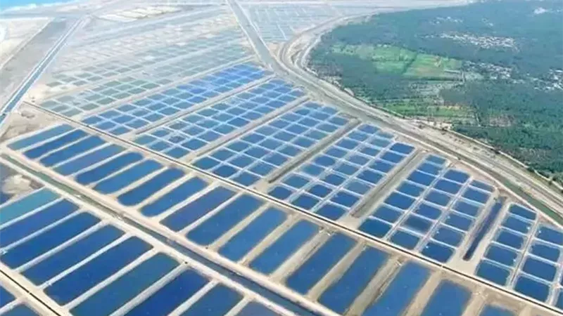 حماية البحيرات: خطة لتنمية المخزون السمكي بـ3 ملايين زريعة سنويًا بالغربية