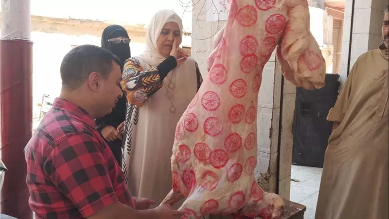 تموين القليوبية يحرر 63 مخالفة تموينية خلال حملات مكثفة على المخابز والأسواق