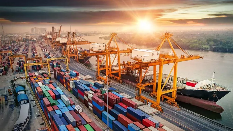 الجمارك تسرع الإفراج عن البضائع.. قرارات جديدة لتقليل الوقت والتكلفة