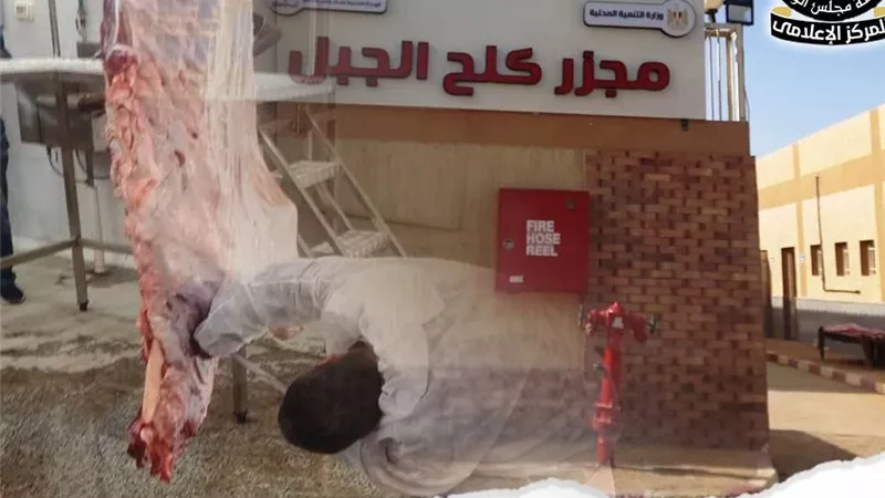 بدء التشغيل التجريبي لمجزر “كلح الجبل” بأسوان بتكلفة 21 مليون جنيه