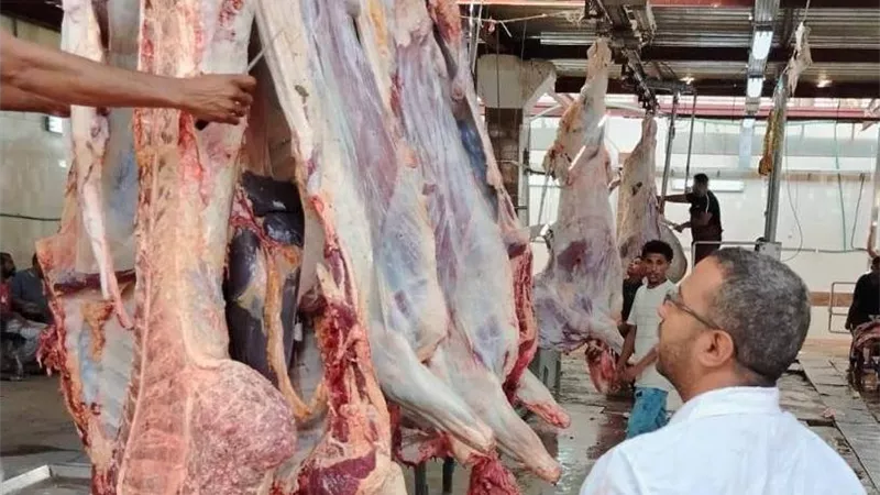 نقيب الفلاحين: أسعار اللحوم تهبط إلى 150 جنيهًا للكيلو بسبب زيادة المعروض 