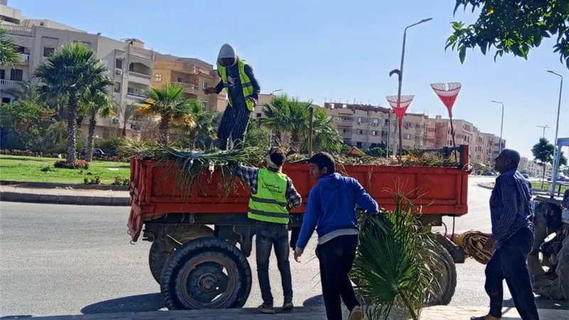 جهاز الشروق يكثف أعمال صيانة المسطحات الخضراء ورفع المخلفات