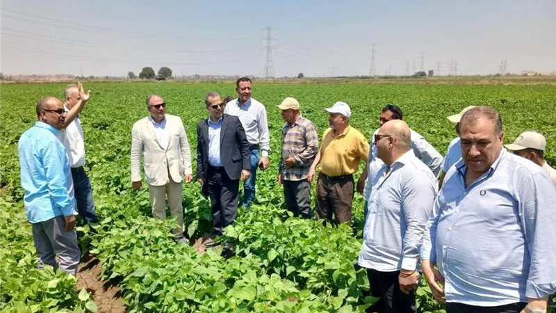 «الزراعة» تتابع إنشاء فرع جديد للمركز الإقليمي للأغذية والأعلاف بكفر الشيخ