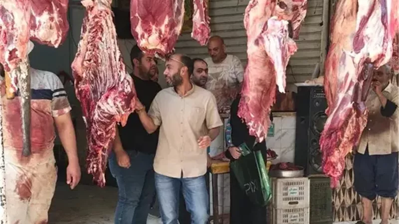 الجيزة تضبط 6 أطنان لحوم ودواجن فاسدة خلال حملات مكثفة قبل عيد الأضحى