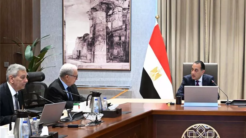 رئيس الوزراء يستعرض خطة تطوير أداء الشركة القابضة للأدوية والشركات التابعة لها