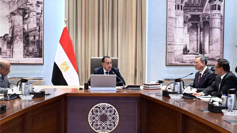مدبولي يبحث مع شركة الصين لهندسة الطاقة تعزيز التعاون في الكهرباء والطاقة المتجددة وتحلية المياه