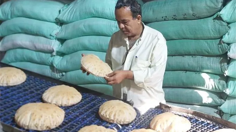 تحرير عشرات المحاضر التموينية وضبط مخالفات بالمخابز والأسواق في البحيرة