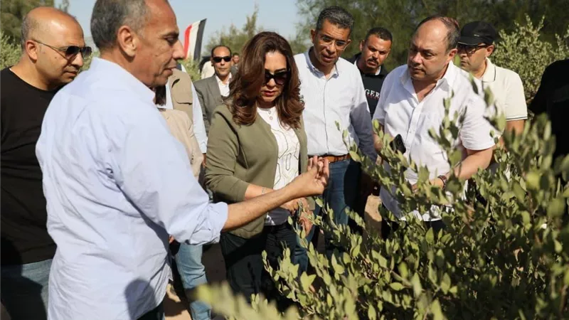 منال عوض تتفقد مراحل إنتاج 