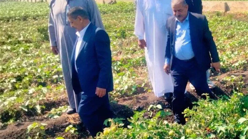 الإصلاح الزراعي بكفر الشيخ يواصل المتابعة الميدانية للزراعات الصيفية وحماية الأراضي