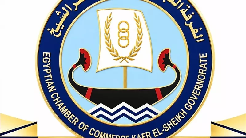 دورات احترافية في الاستيراد والتصدير بكفر الشيخ لدعم المستثمرين ورواد الأعمال
