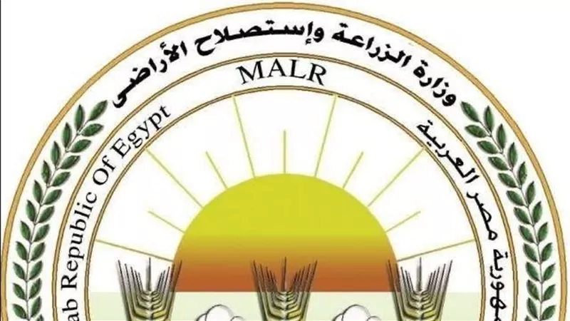 مصر تفتح 4 أسواق جديدة في الأمريكتين أمام صادرات البرتقال والعنب وشتلات الفراولة