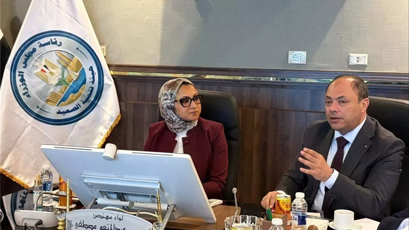 هيئة تنمية الصعيد ومحافظة الوادي الجديد تبحثان تعزيز التعاون ودعم المشروعات الاستثمارية