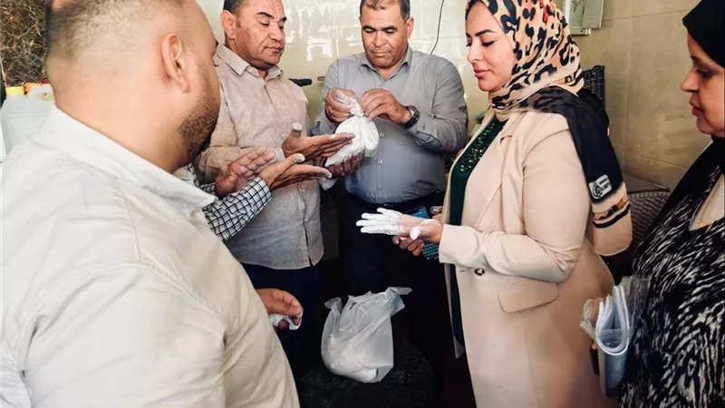 تموين القاهرة: ضبط 61 مخالفة ومواد محظورة داخل العصائر خلال حملات مكبرة