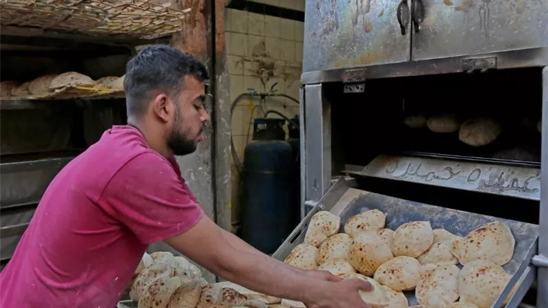 عبد الله غراب: الدعم النقدي يطور منظومة الخبز ويمنح الأسر مرونة في الإنفاق