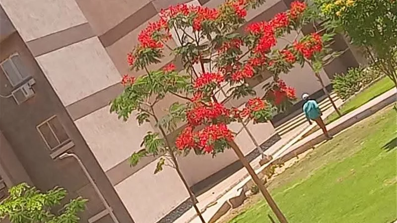 جهاز أكتوبر الجديدة يكثف أعمال صيانة المسطحات الخضراء لتعزيز المظهر الحضاري