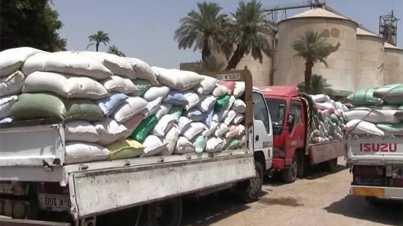 سوهاج تقترب من كسر الرقم القياسي لتوريد القمح وتحقق 184 ألف طن 