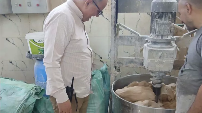 الدقهلية تضبط أطنان سلع مجهولة المصدر وتحرر 288 مخالفة تموينية خلال 4 أيام