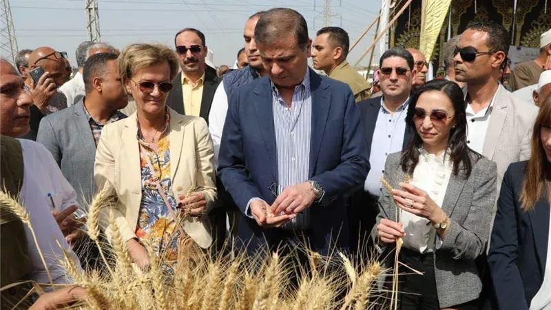 الزراعة في عهد السيسي.. 12 عامًا من الطفرة الزراعية ومضاعفة الإنتاج واختراق 170 سوقًا عالميًا