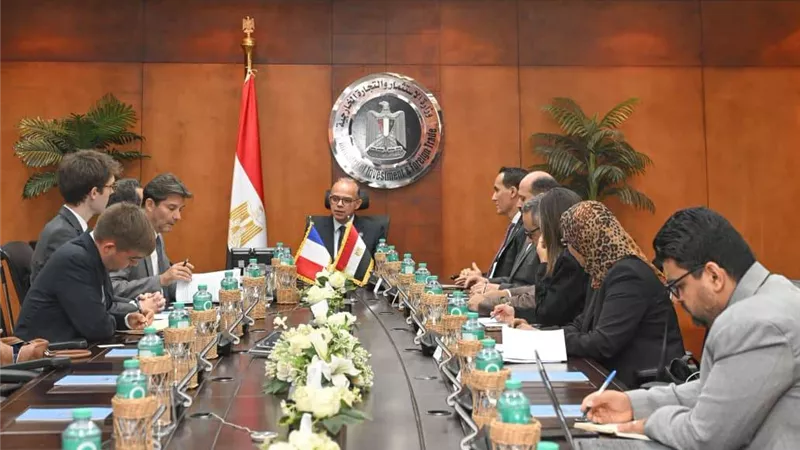 مصر وفرنسا تبحثان تعميق التعاون الاستثماري والتجاري.. وخطة لتعزيز تدفقات الاستثمار الأجنبي المباشر