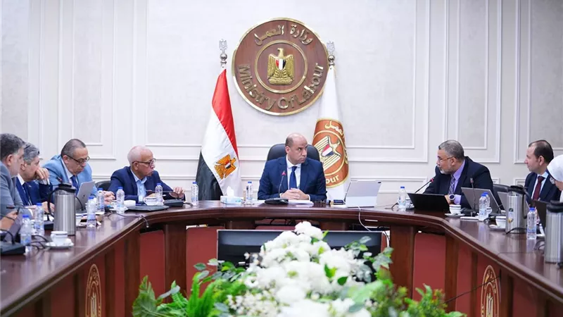 وزير العمل: مناقشة عدد من مشروعات القرارات الوزارية.. وتعديلات قانون المنظمات النقابية
