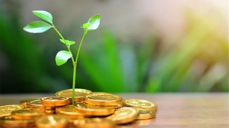أفضل طرق الاستثمار 2026.. أين تضع أموالك لتحقيق أعلى عائد؟