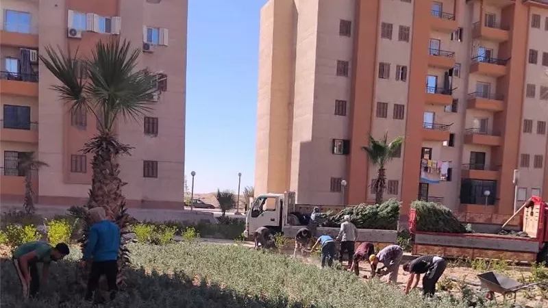 أكتوبر الجديدة تكثف أعمال صيانة المسطحات الخضراء لتعزيز المظهر الحضاري