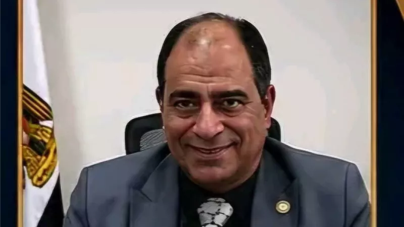 تكليف حسام جاد المولى رئيسًا للإدارة المركزية لجمارك السويس