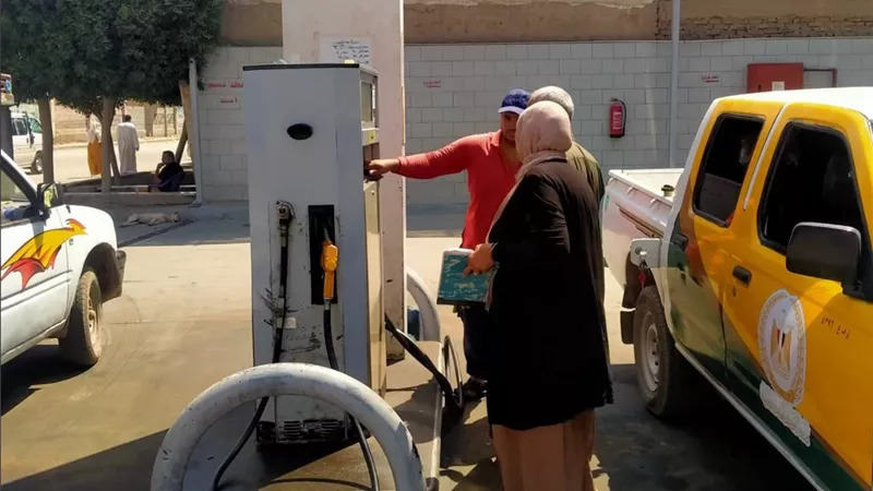 تموين القليوبية يواصل الحرب على المتلاعبين بالدعم..71 محضرًا جديدًا في حملة رقابية 