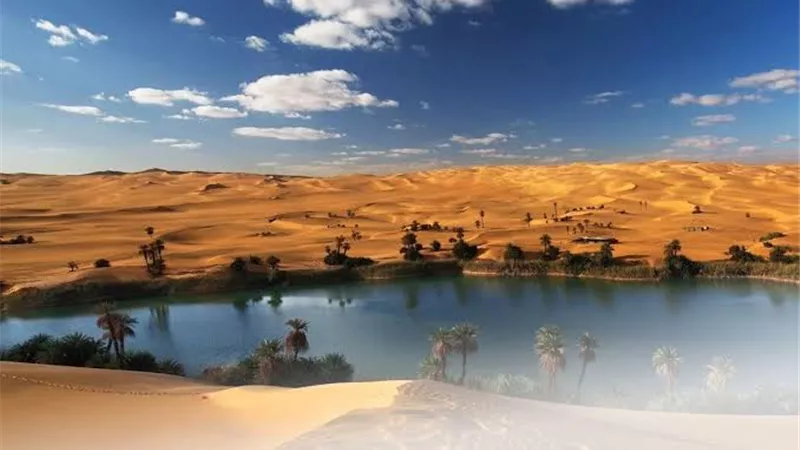 وزير السياحة: 540 ألف زائر لمعرضين للآثار المصرية بالخارج.. وتعديل أسعار تذاكر الواحات البحرية
