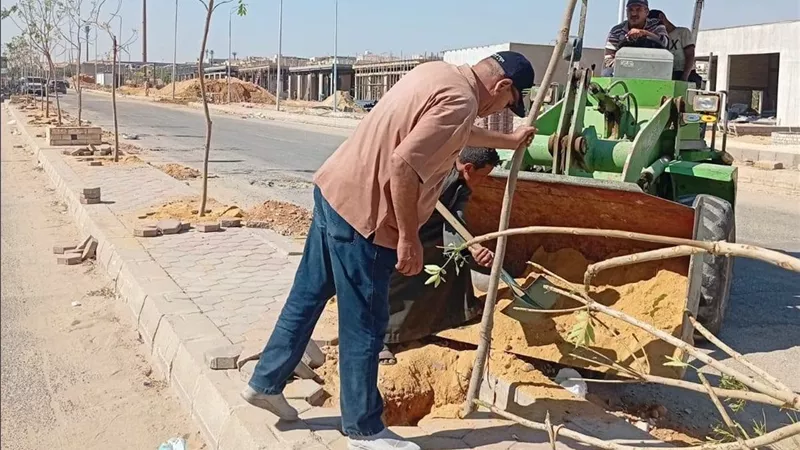 الشروق تتجمل.. تطوير الجزر والمحاور الرئيسية ورفع كفاءة المناطق الحيوية بالمدينة