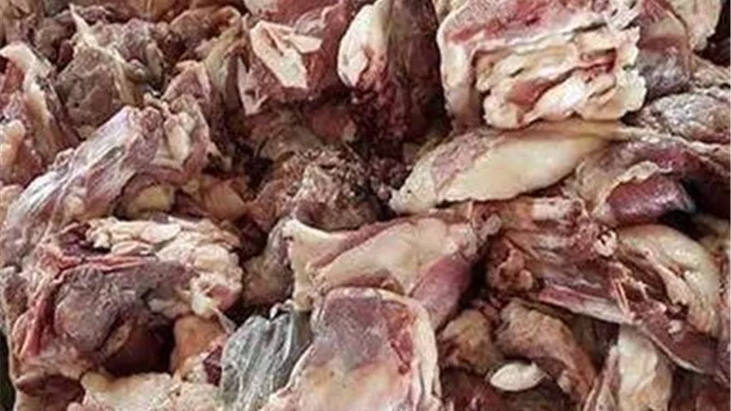الزراعة تضبط 125 طن لحوم ومنتجات مخالفة خلال يونيو وتحرر 692 محضرًا بالمحافظات