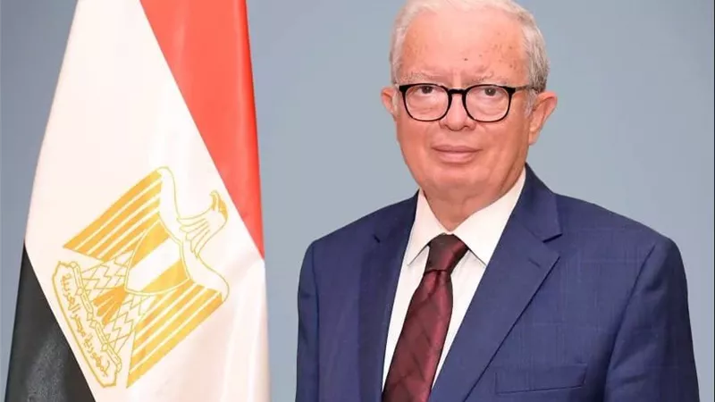 شراكة مصرية صينية لزيادة «قيمة الصناعة».. توسعات جديدة في البتروكيماويات ومشروعات استراتيجية على الطريق