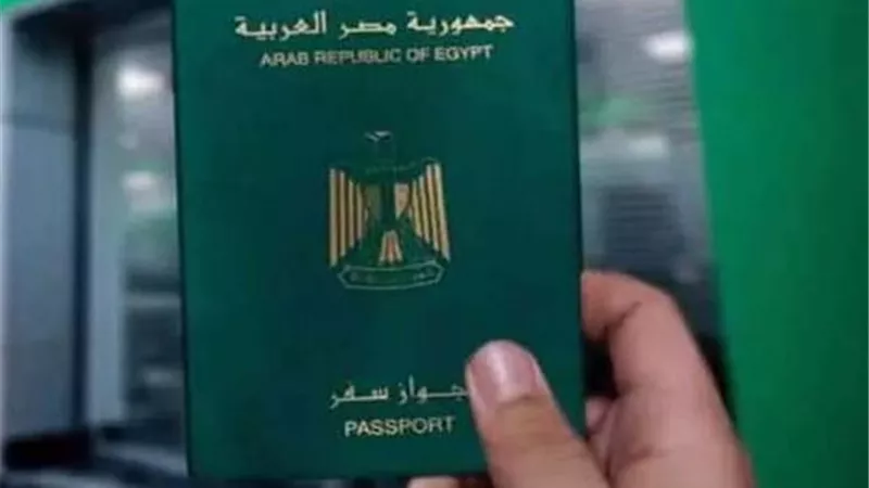 التغطيات الجديدة بوثيقة التأمين للمصريين بالخارج