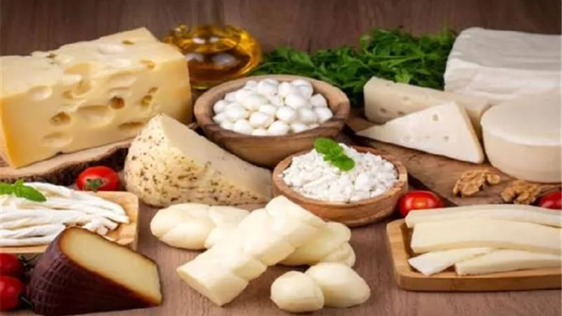 أسعار الألبان والجبن اليوم.. ارتفاع الجبن الأبيض والرومي وتراجع اللبن السائب والمسلى الصناعي