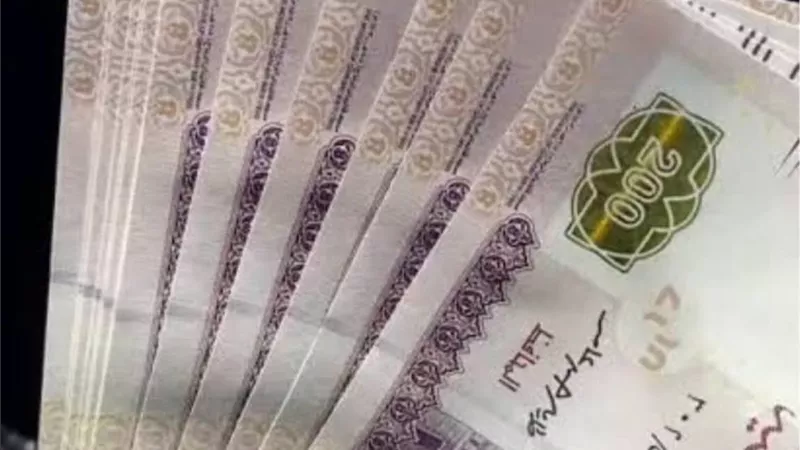 عايز تكبر مشروعك؟ التمويل بقى أسهل مع «حالا»