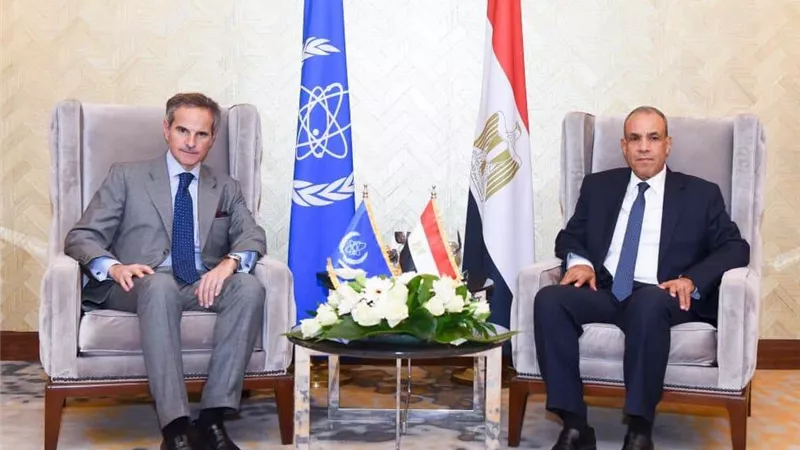 وزير الخارجية يلتقي مدير الوكالة الدولية للطاقة الذرية لبحث التعاون في محطة الضبعة النووية