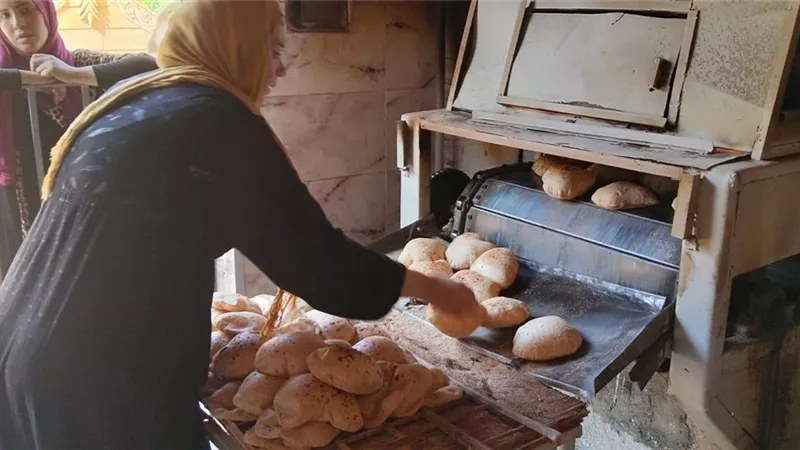 الحكومة تدرس طلب رئيس شعبة المخابز بشأن بيع الخبز البلدي المدعم حرًا