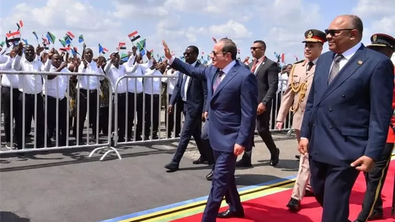 الرئيس السيسي يتحرك.. كيف تخطط مصر لتحويل تنزانيا إلى بوابة للأمن الغذائي المصري؟