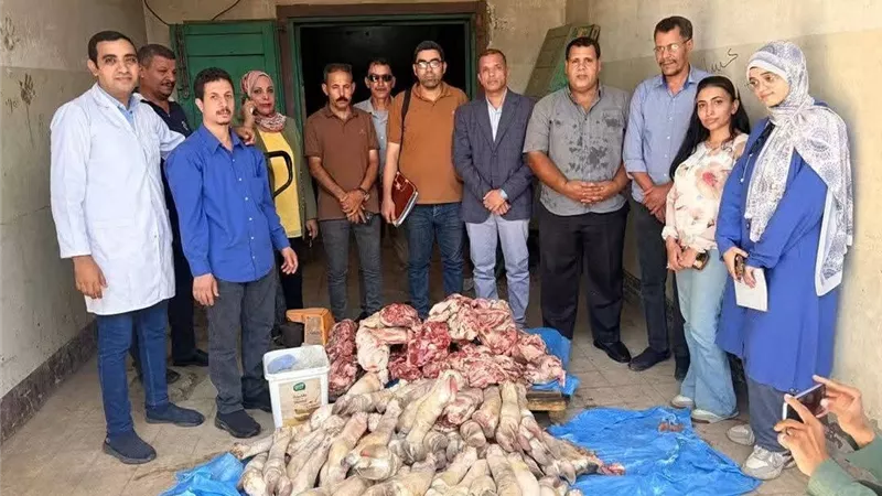 حملة مكبرة تضبط 250 كيلو لحوم فاسدة داخل مطعم بمدينة سوهاج قبل تداولها