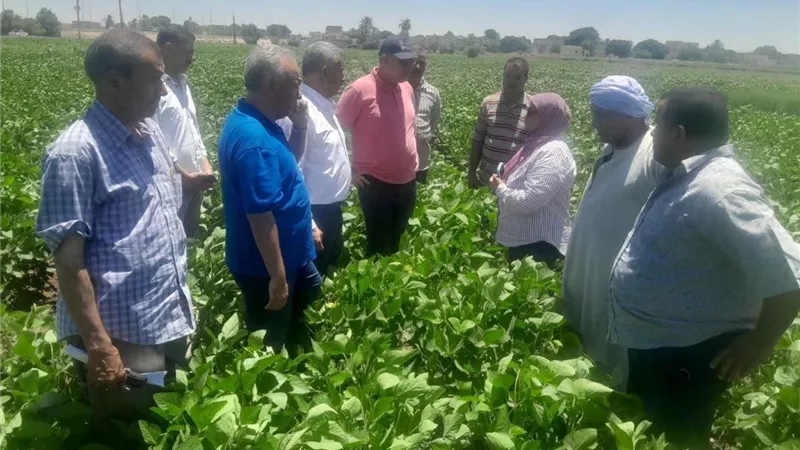 تكليفات وزير الزراعة تواصل دعم المزارعين وتطوير الري الحديث وزيادة الإنتاج بمحافظة المنيا
