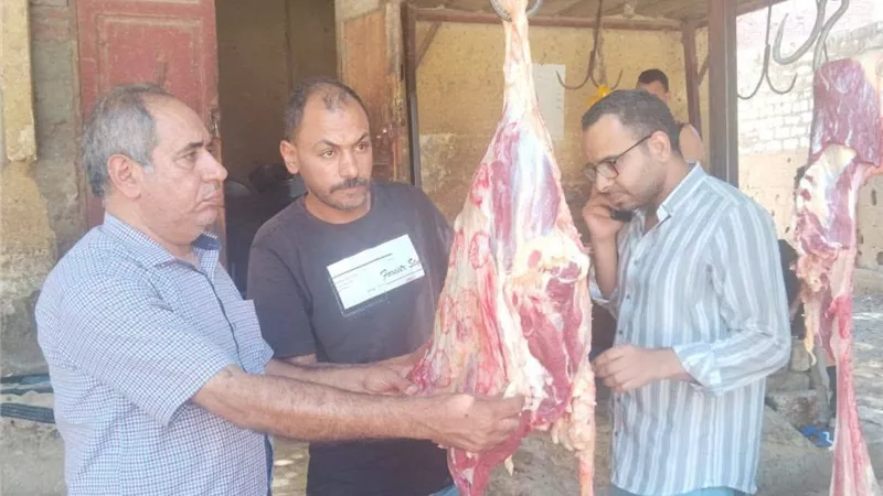 محافظ أسيوط: ضبط لحوم غير صالحة وإعدام عجل داخل مجزر حكومي خلال 