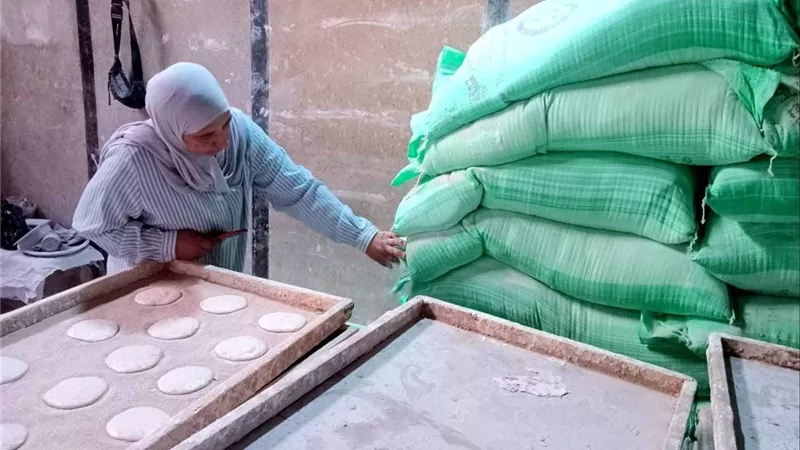 «تموين القليوبية» يحرر 81 مخالفة ويضبط دقيقًا بلديًا مدعمًا خلال حملات رقابية