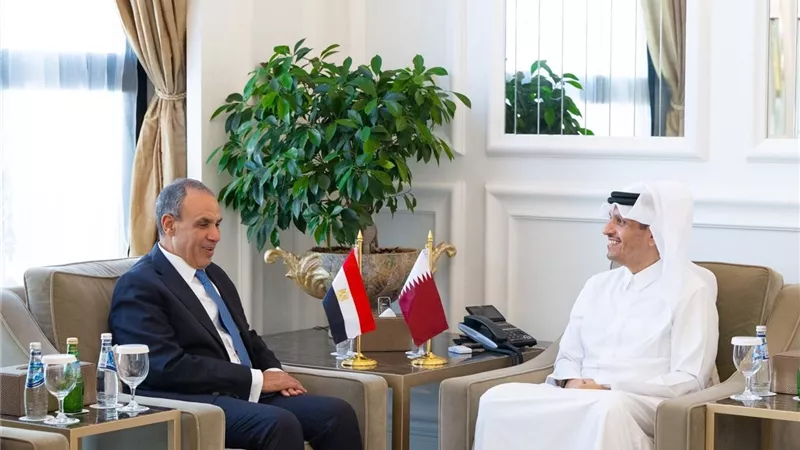 وزيرا خارجية مصر وقطر يبحثان تعزيز العلاقات الثنائية وتطورات الأوضاع الإقليمية
