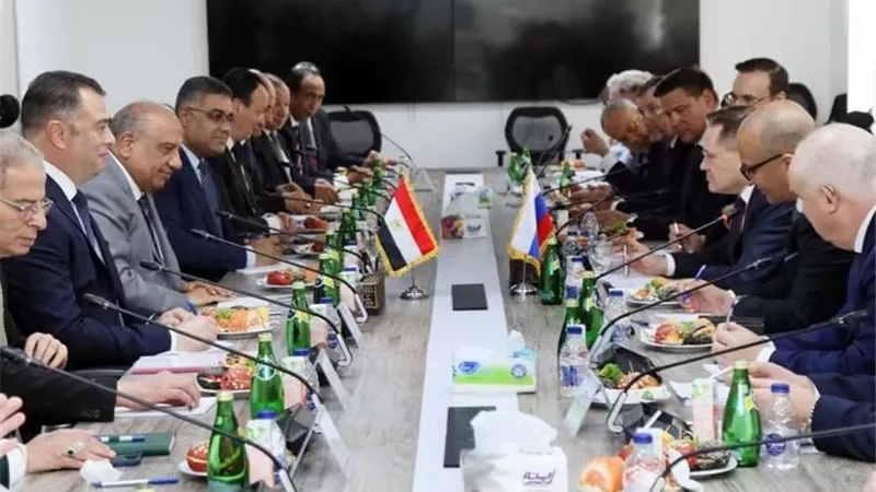     تطورات جديدة في محطة الضبعة.. اجتماع بين وزير الكهرباء ومدير روسآتوم لدفع التنفيذ