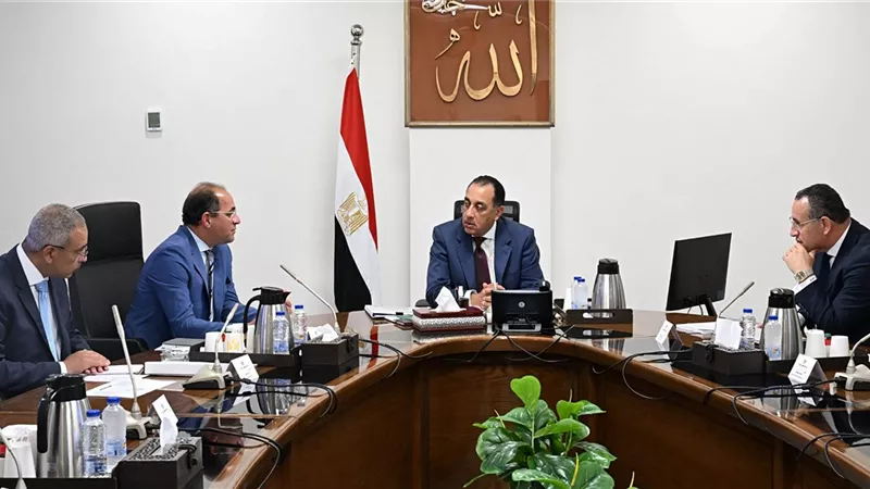 رئيس الوزراء يبحث زيادة حوافز أعضاء هيئة التدريس بالجامعات والمراكز البحثية